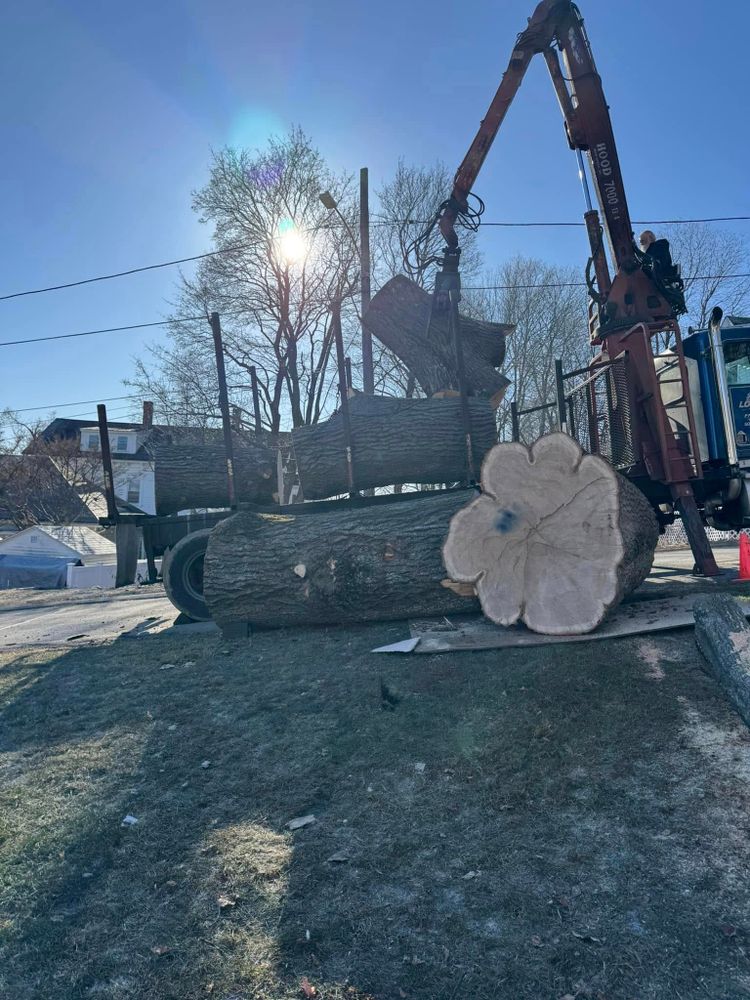 Tree Removal for Redemption Tree & Landscape LLC  in Oakham, MA