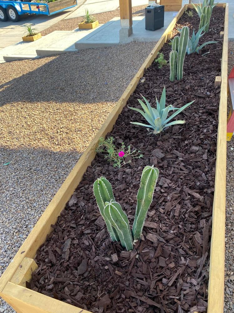 Landscaping for Inova Hardscape in El Paso, TX