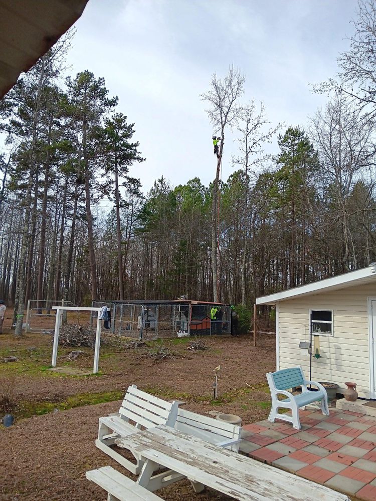 All Photos for Diversified Tree Company in Trinity, NC