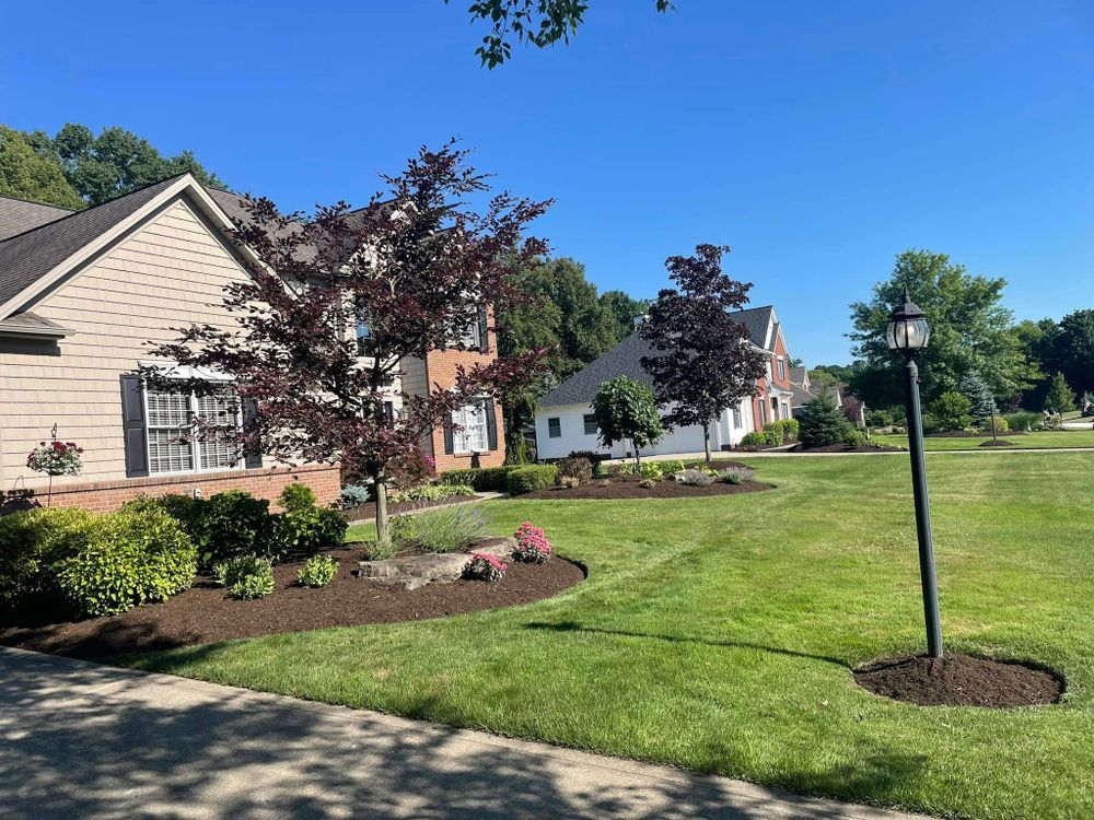 All Photos for Reynoso’s Fencing & Lawn Care in Painesville, OH