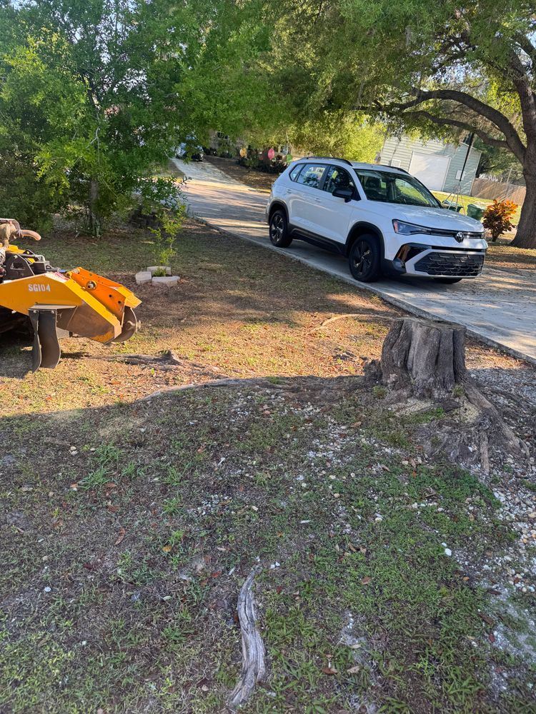 All Photos for Rize N’ Grind  in Punta Gorda, FL