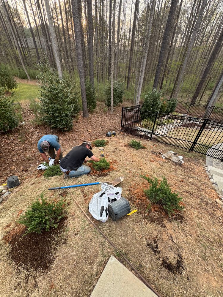 All Photos for Lovingood Landscape in Pittsboro, NC