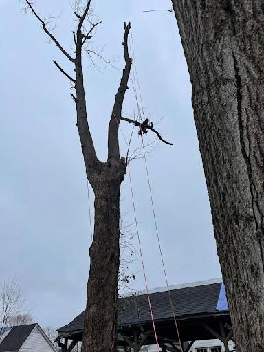 All Photos for Transforming Landscaping & Tree Service in Bowling Green, KY