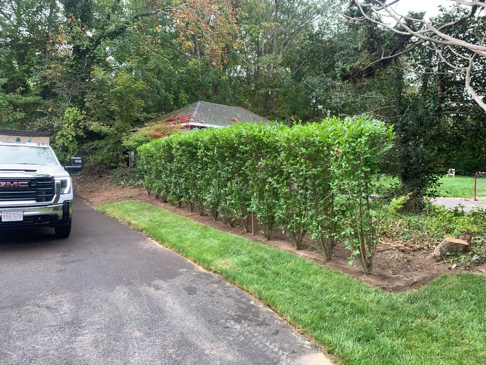 All Photos for Lawn Shark Landscaping in Monument Beach, MA
