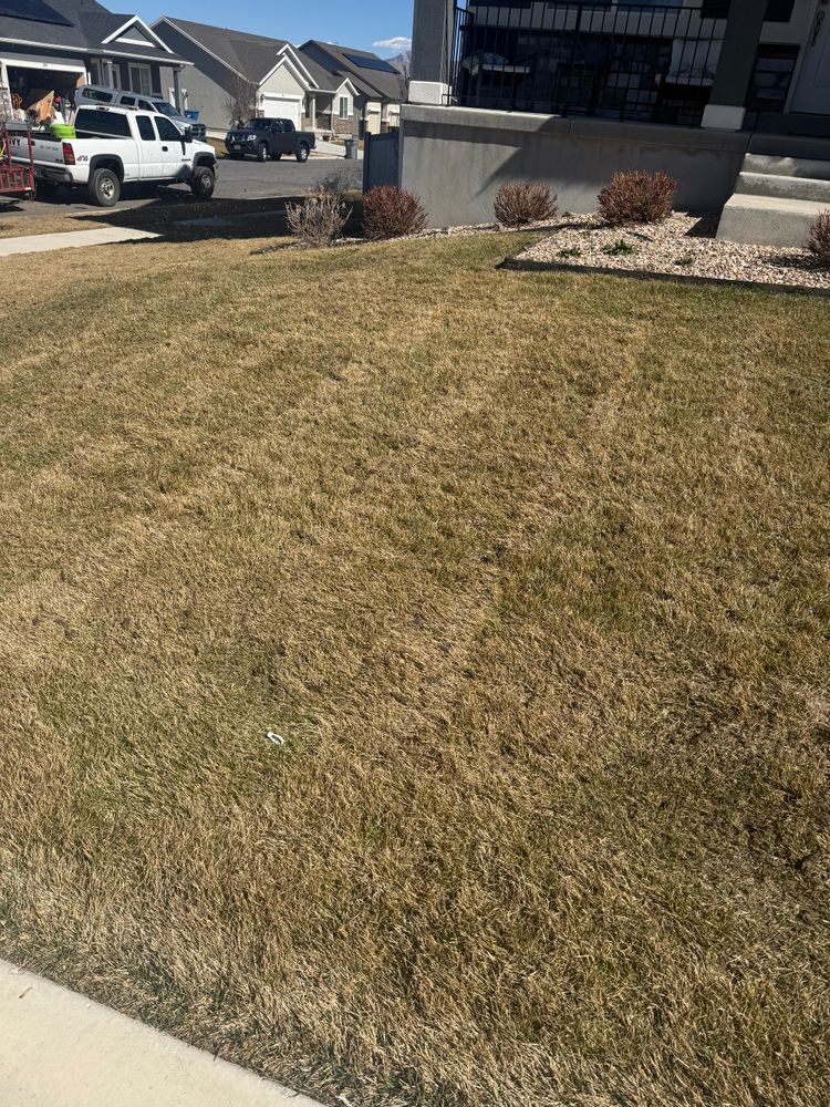 All Photos for Platinum Lawn Service in Santaquin, UT