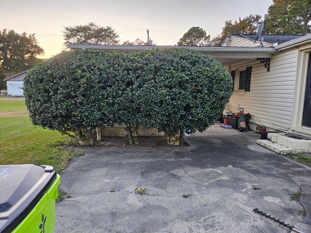 All Photos for Just Mow and Go Lawn Service in New Bern, NC