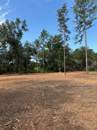 All Photos for JM Services in Woodville, TX