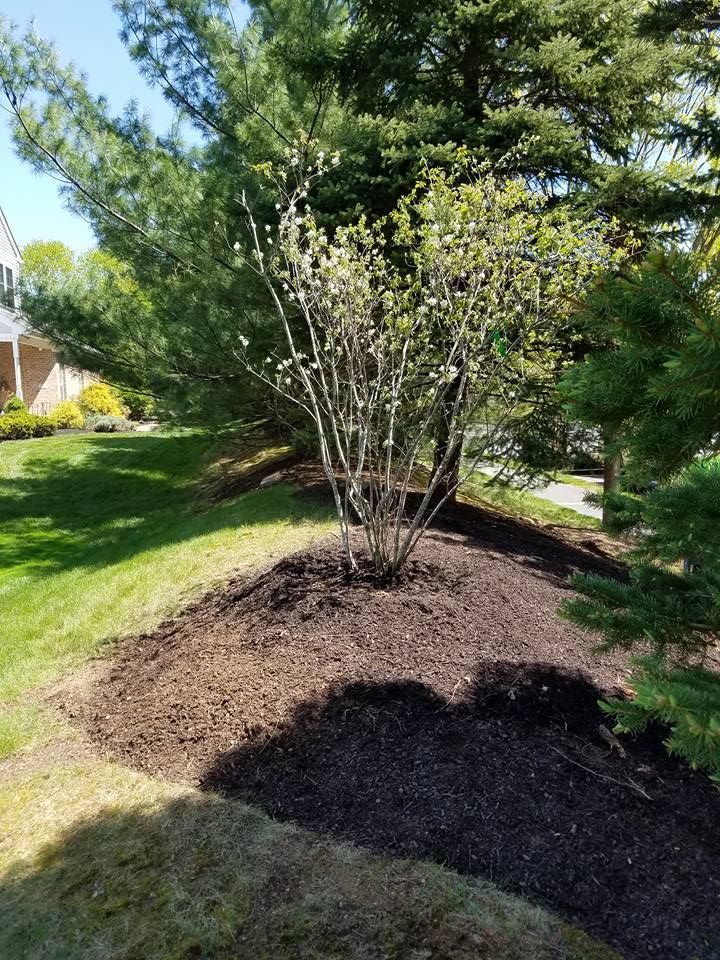 Enhance your outdoor space with our Landscape Design & Installations service, creating beautiful and functional gardens that complement your home. Our expert team transforms visions into stunning reality for lasting enjoyment. for Freedom Outdoor Services in Glen Mills, PA