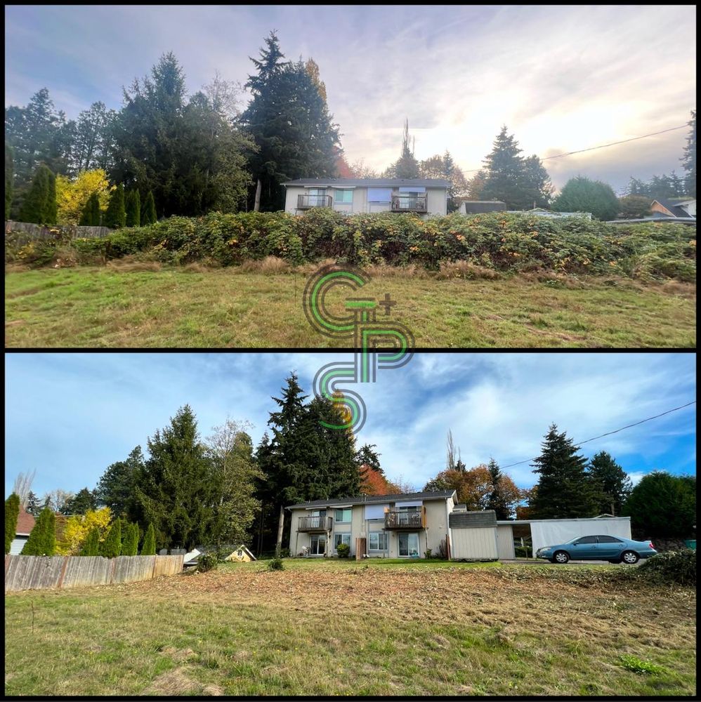 Fall Clean Up for Golovin Property Services LLC in Marysville, WA