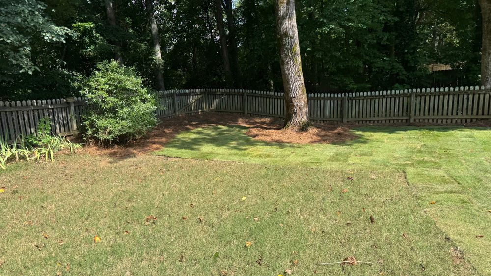 All Photos for Capital GREEN in Atlanta, GA
