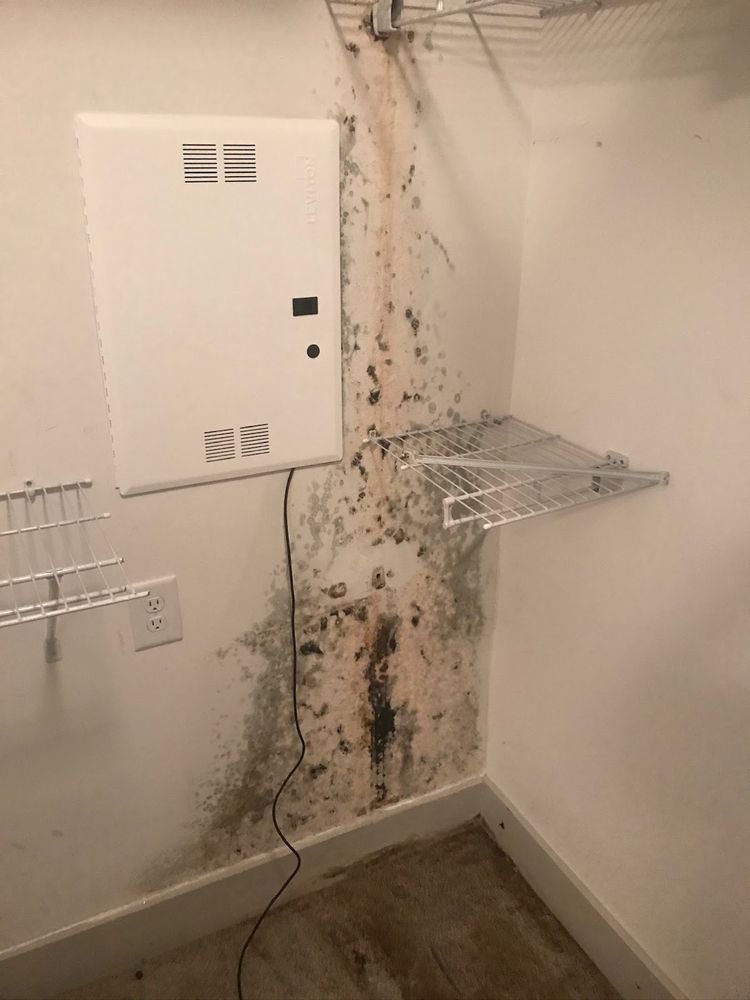 Our comprehensive Fire, Mold, Water and Biohazard service ensures your home is protected from potential damages caused by these hazards with professional remediation and restoration solutions. for Southern RustiQ Restoration in Atlanta, GA