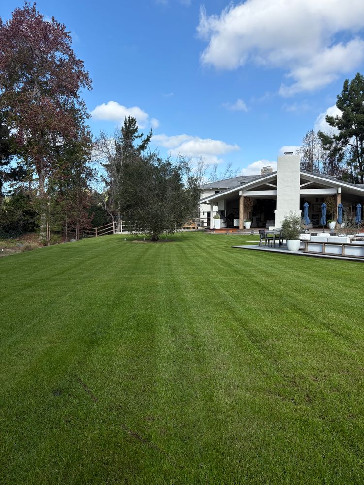 All Photos for Herreras Land Service in San Diego, CA