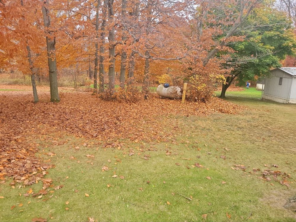 Our Leaf Removal service ensures a pristine yard by efficiently clearing fallen leaves, enhancing your landscape's beauty. Trust our expertise for seasonal debris management, complementing our reliable snow removal solutions year-round. for A&A Lawnworks in Maximo, OH