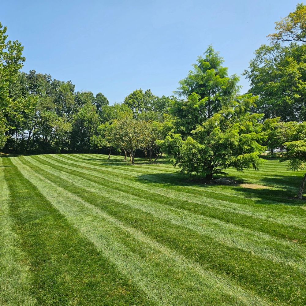 All Photos for Trippin A-Lawn in Bethlehem, PA