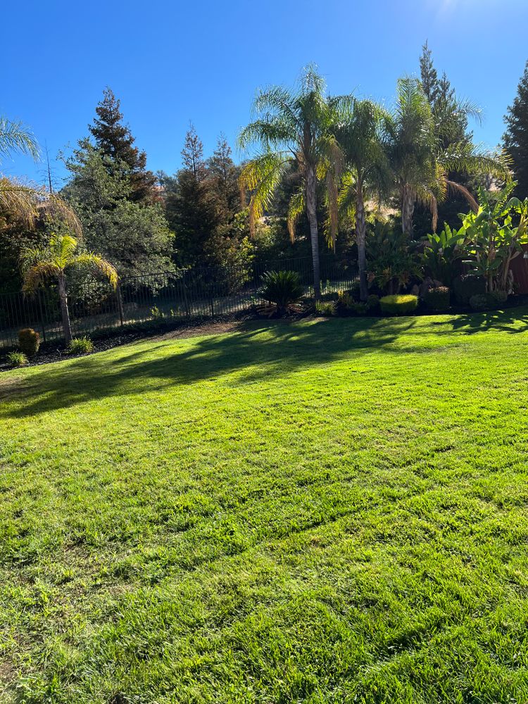 Lawn Care for Folsom Lake Landscaping in El Dorado Hills, CA