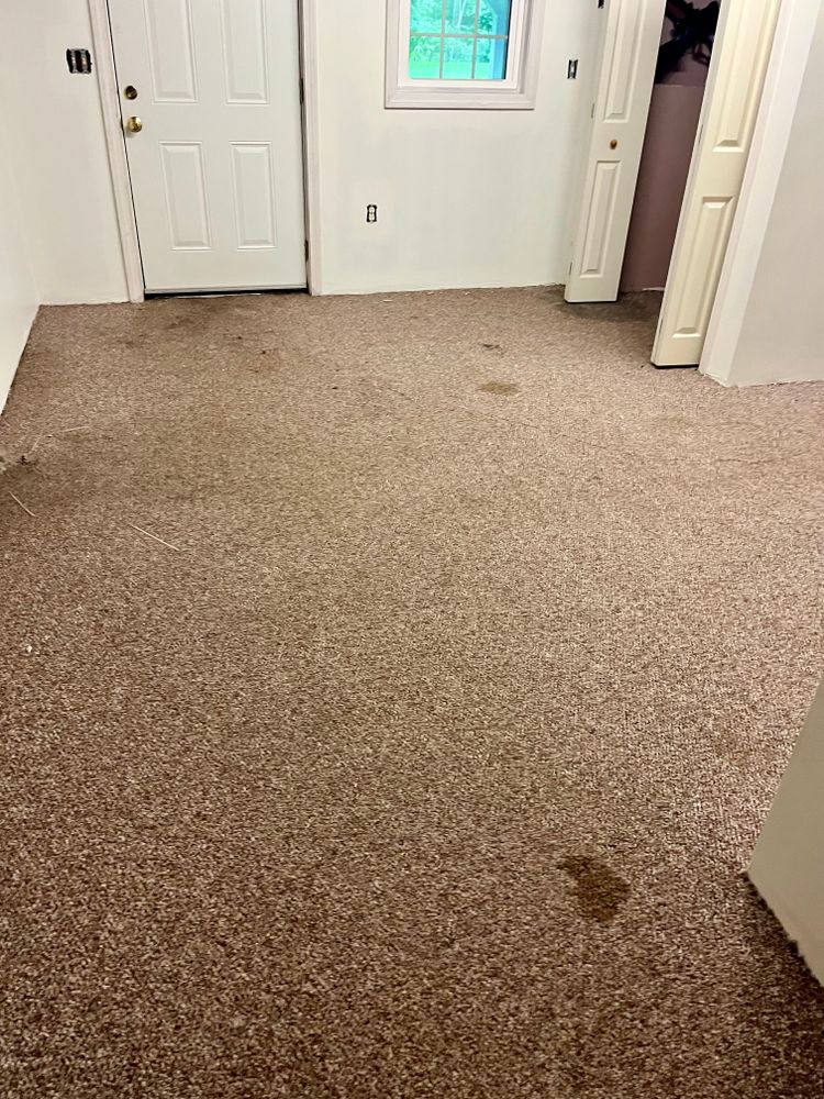 All Photos for Simply Wood Floors in Worcester, MA