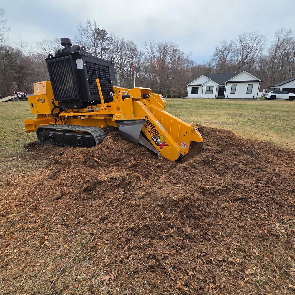 All Photos for Darbie's Tree Service in Newburg,  MD