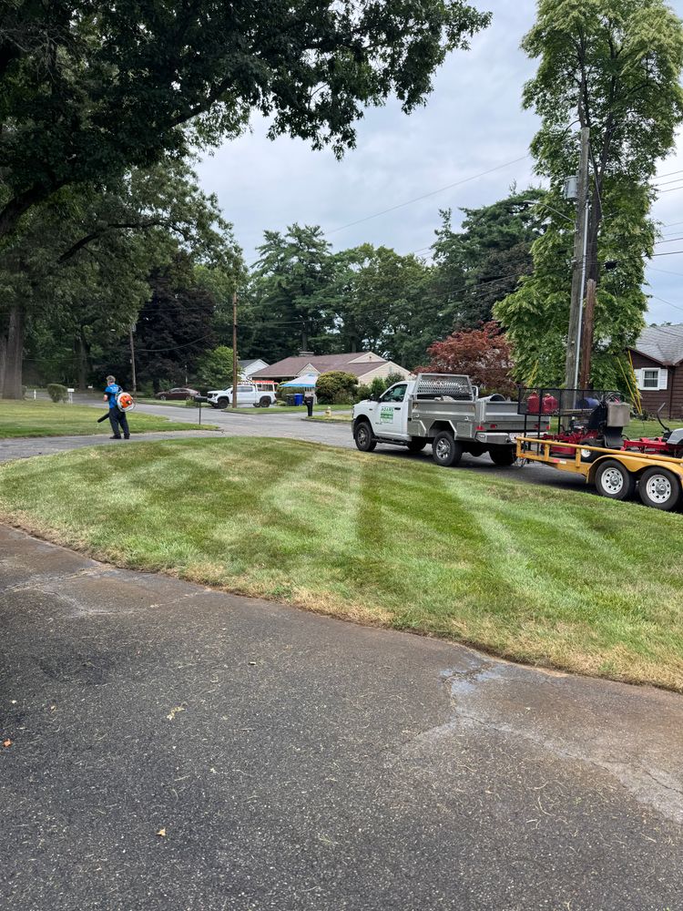 All Photos for Adams Landscaping in Springfield, MA