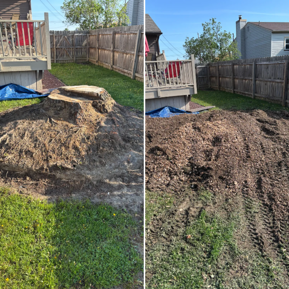 All Photos for Dean's Stump Removal in Youngstown, OH