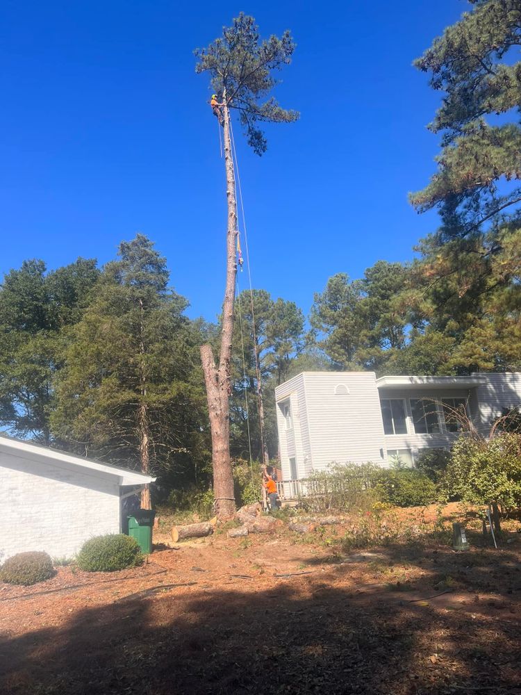 All Photos for Diversified Tree Company in Trinity, NC