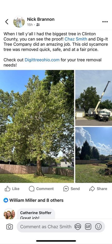 All Photos for Dig-It Tree Company in , 
