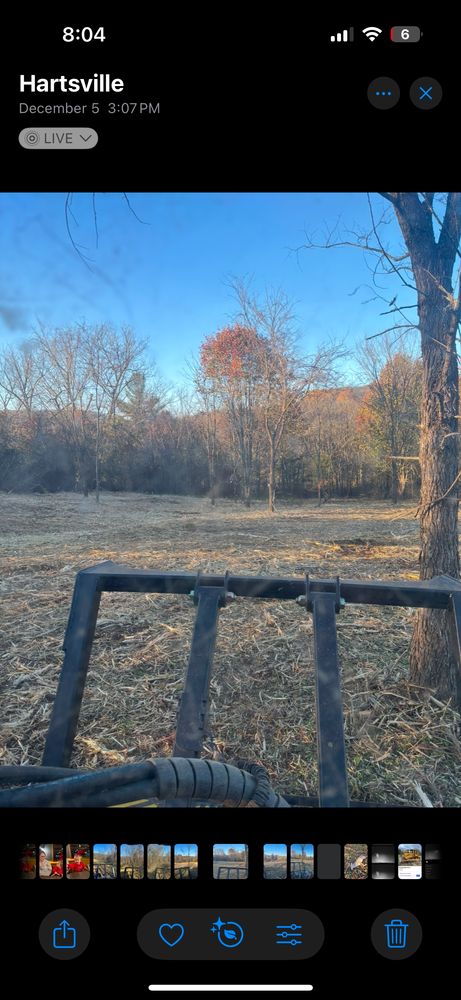 All Photos for Gregory Grass and Lawn in Lafayette, TN