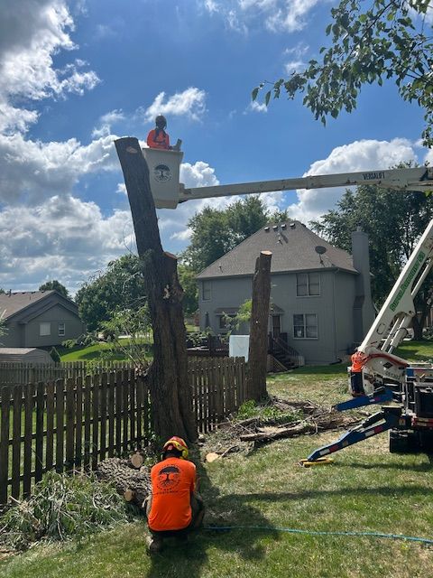 All Photos for Cross Family Tree Service in Kearney, MO