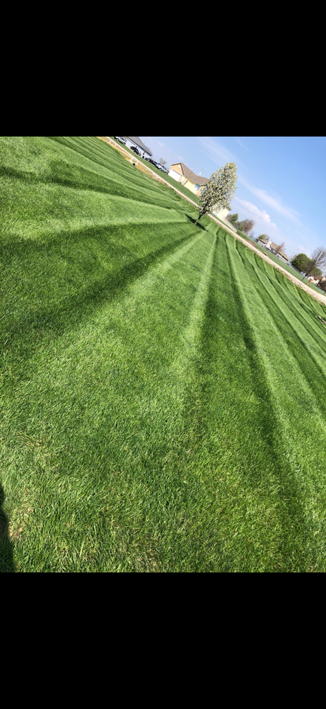 All Photos for Chief Lawn Care in Lee's Summit, MO