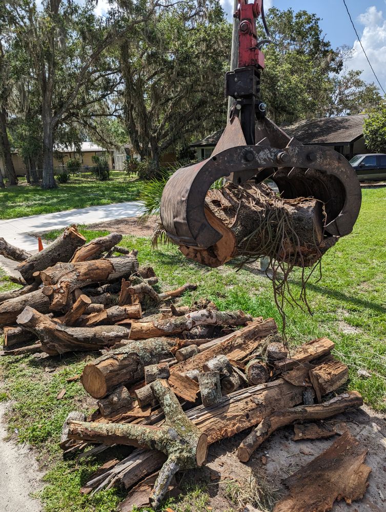 All Photos for Regal Tree Service and Stump Grinding in Wauchula, FL