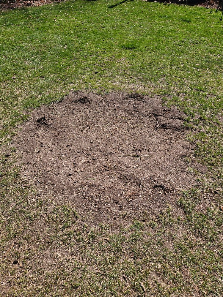 All Photos for Anchor & Grind Stump in Chesapeake, VA