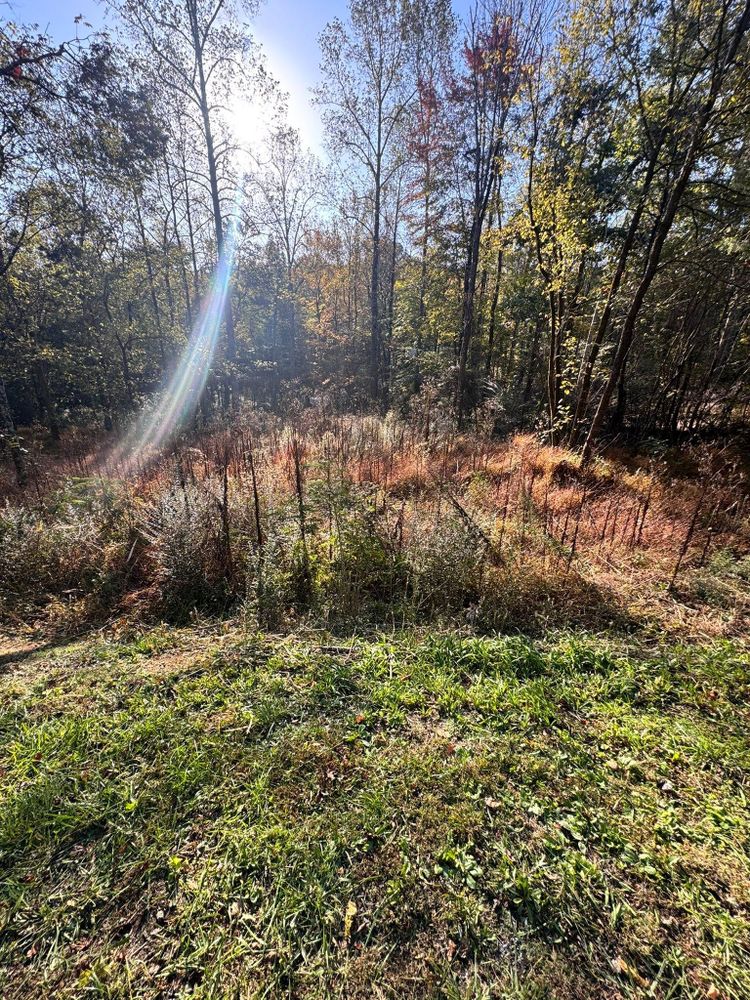 All Photos for Leal’s Lawn Service in Dayton, TN