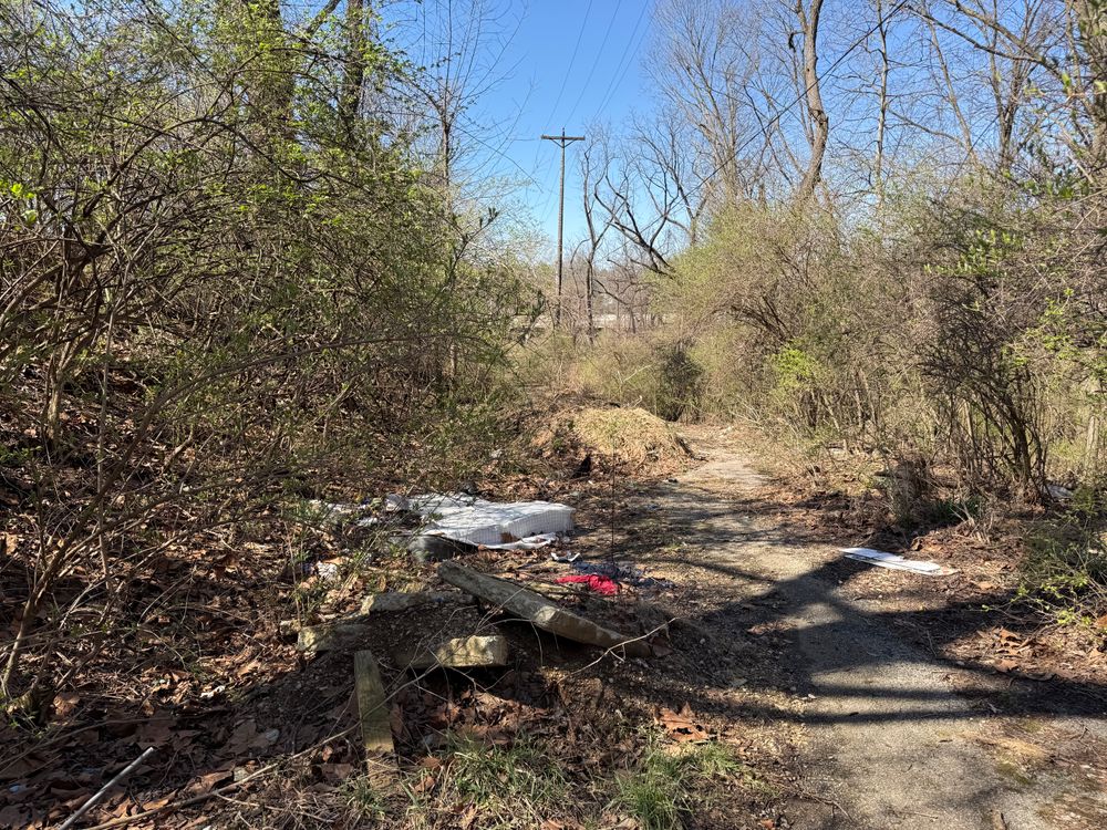 All Photos for A1 Bush Hogging & Lawn Service in London, OH