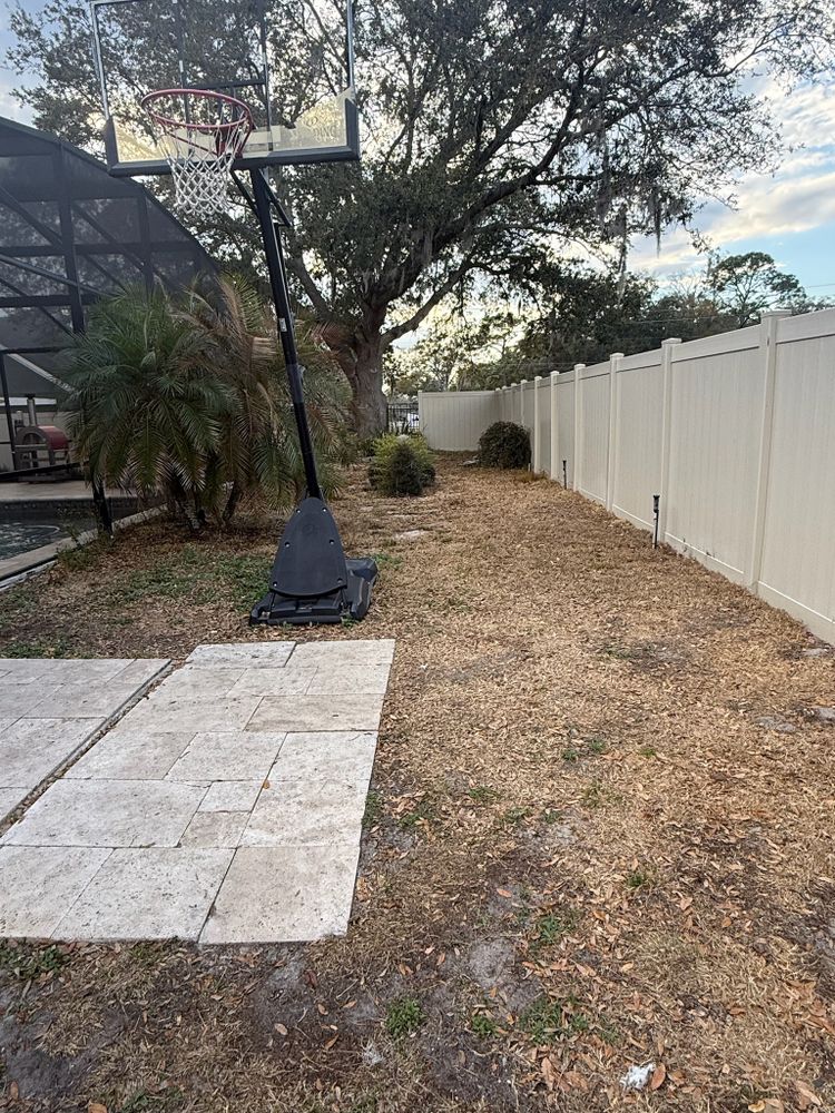 All Photos for Amerigrown Tree And Lawn in Apopka, FL