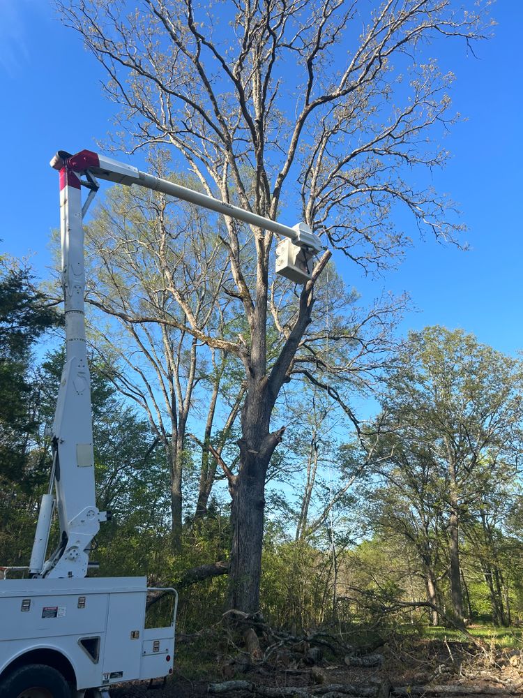 All Photos for Triple H Construction in Cave Spring, GA
