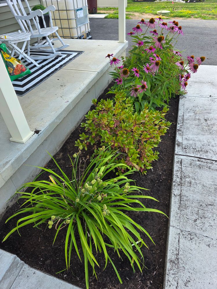 All Photos for Sweet Scapes in Ballston Spa, NY
