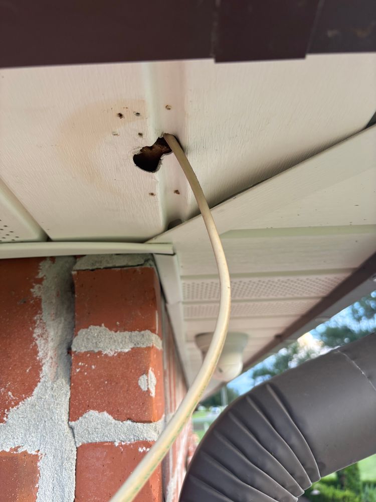 All Photos for Southern Circuits, LLC in Prairieville, LA