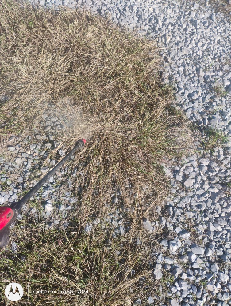 All Photos for Pro Lawn Care RGV in McAllen, TX