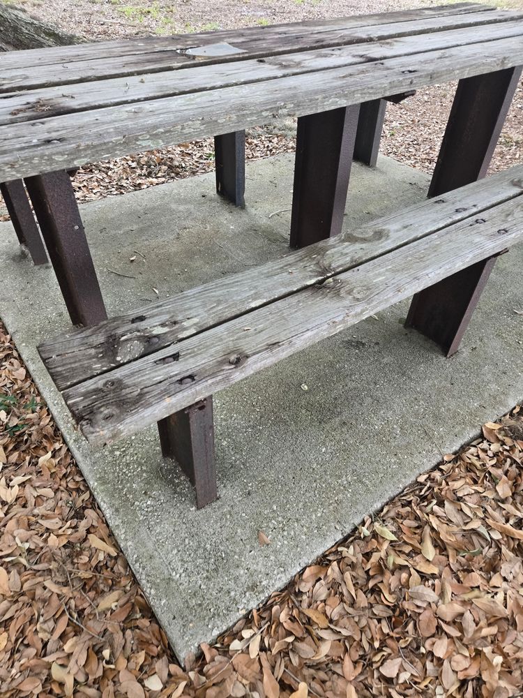 All Photos for Above the Lawn Cuts and Pressure Washing in Sebring, FL