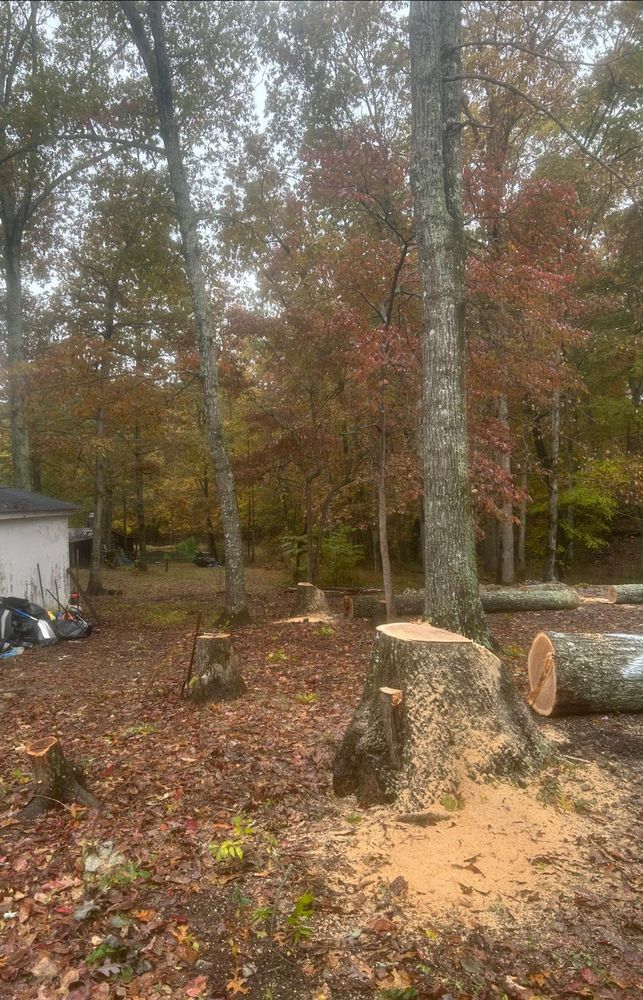 All Photos for McBee’s Tree Service in Sewanee, TN