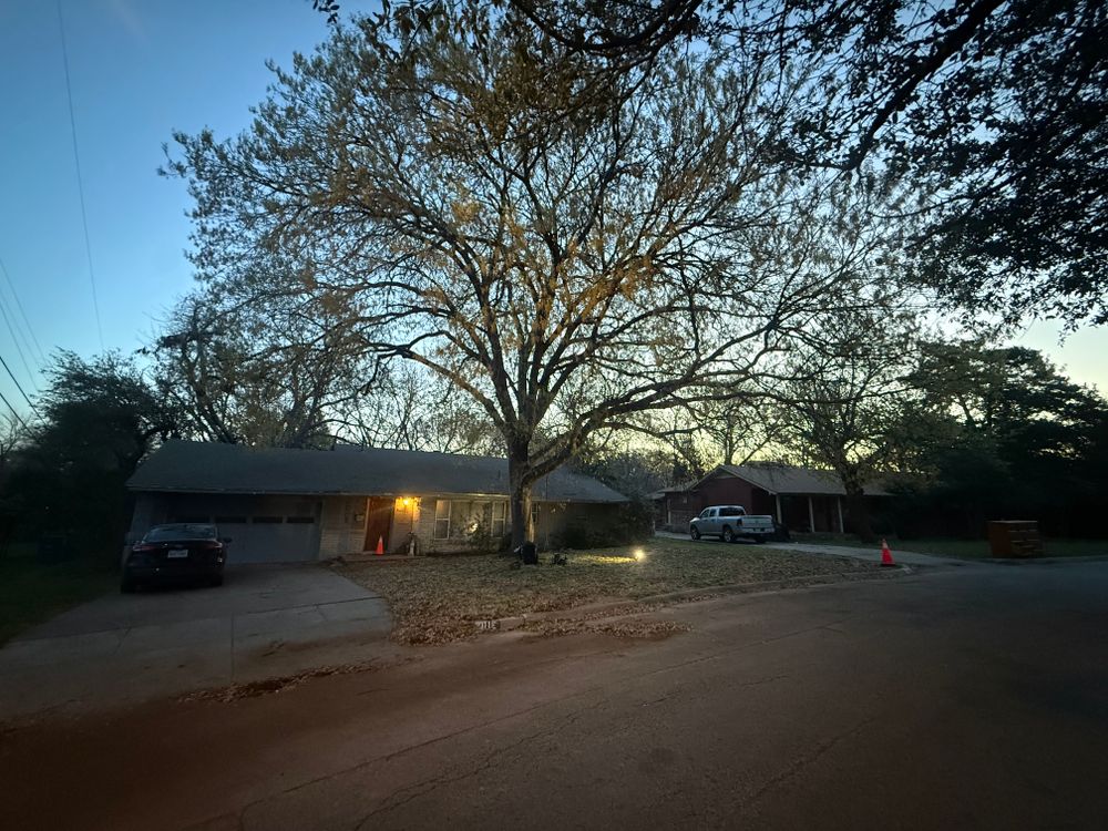 All Photos for Blu-J Tree Care in Arlington, TX