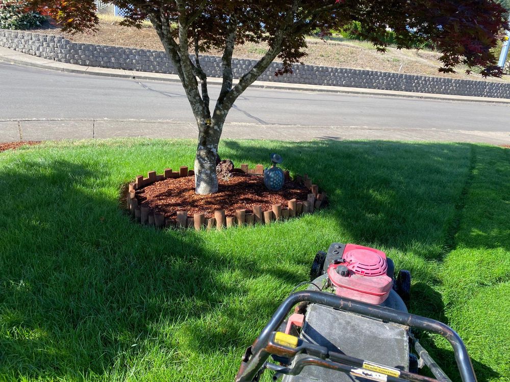 All Photos for Willamette Landscaping and Tree Services in Albany, OR