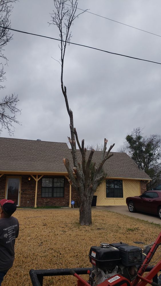 All Photos for Paquito's Landscaping in Ellis County, TX