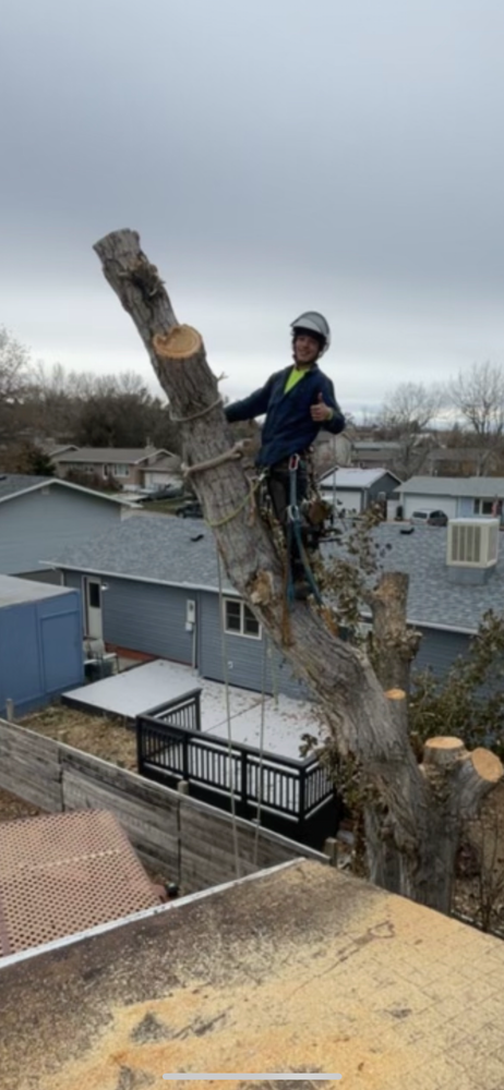 All Photos for Elevated Tree Care in Gillette, WY