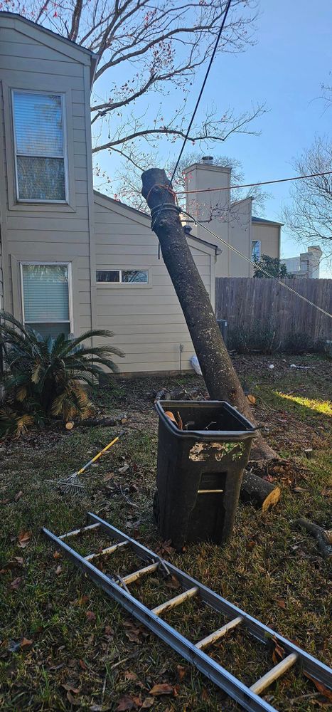 We provide professional and efficient tree removal services to help homeowners safely and effectively remove unwanted or hazardous trees from their property, enhancing safety and improving curb appeal. for Servin's Tree Care  in Houston, TX