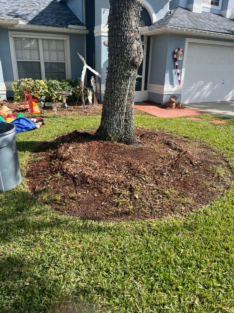 Landscape Enhancements for Space Coast Property Maintenance and Management LLC in Melbourne, FL