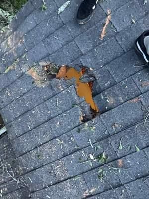 All Photos for Bulldawg Disaster Response in Atlanta, GA