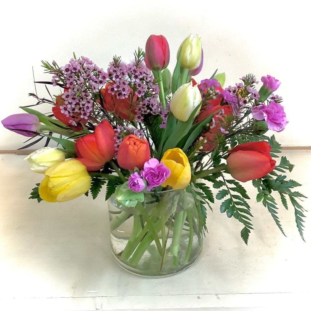 All Photos for The Dailey Daisy in Hardwick, VT