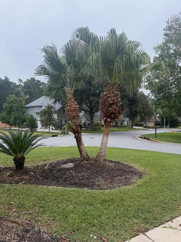 All Photos for Whole 9 Yards Services in Green Cove Springs, FL