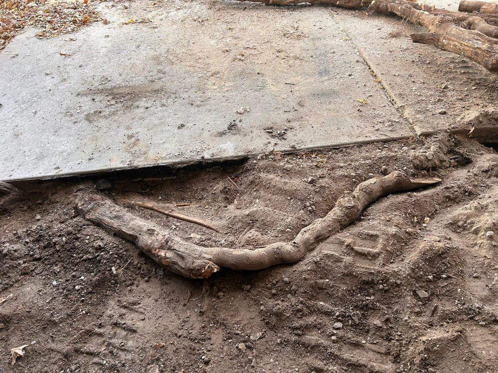 All Photos for Snider Concrete in Springfield, IL