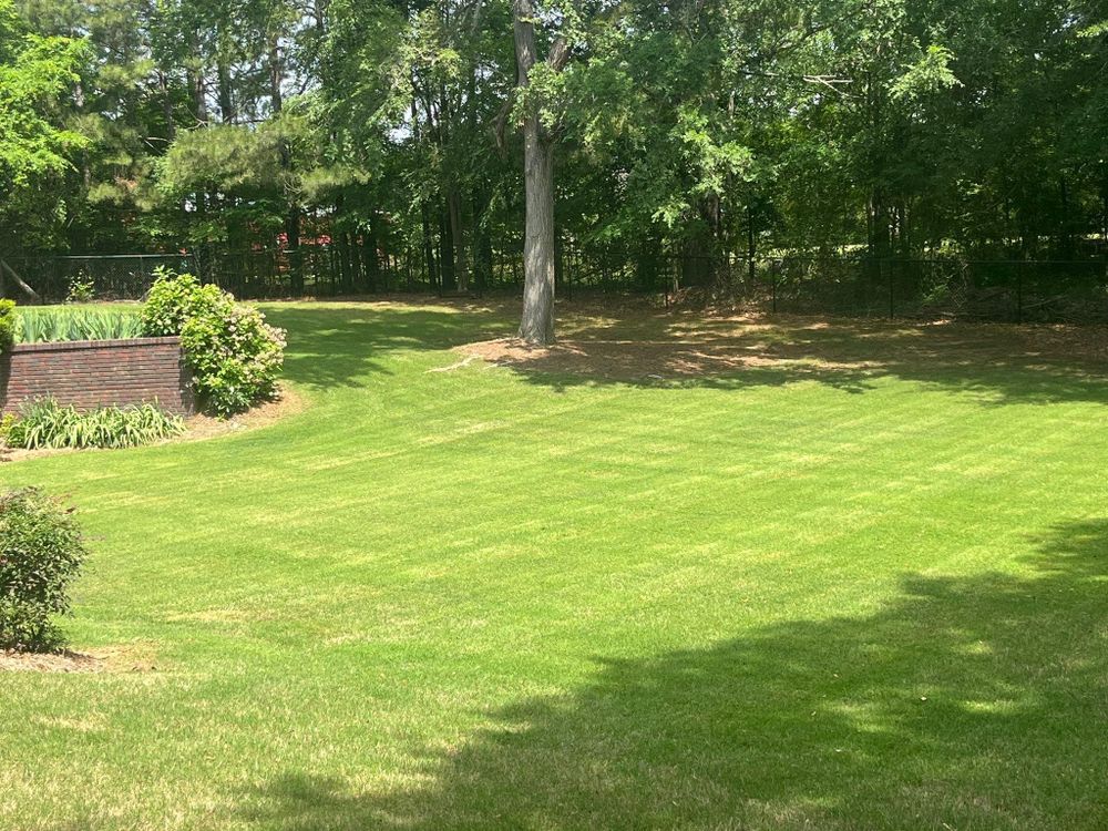 All Photos for Adams Landscape Management Group LLC. in Loganville, GA
